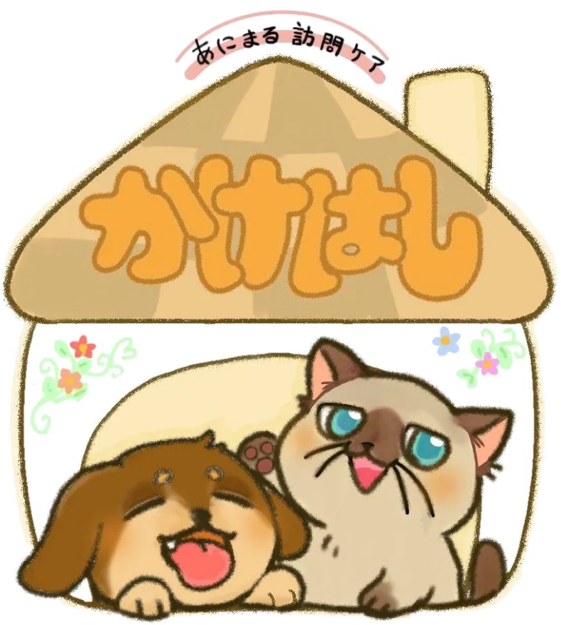 山口県防府市エリアで、大切なペットの生活を支える訪問ケア・介護サービスを行っています